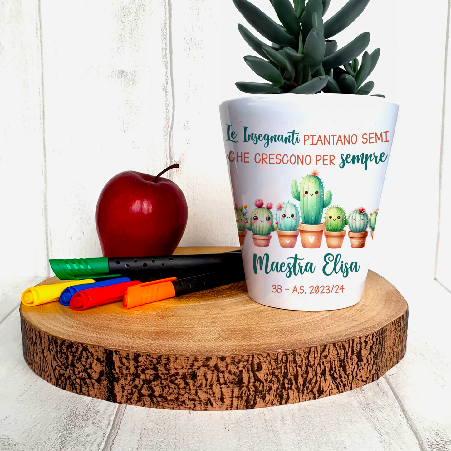 Vaso maestra cactus