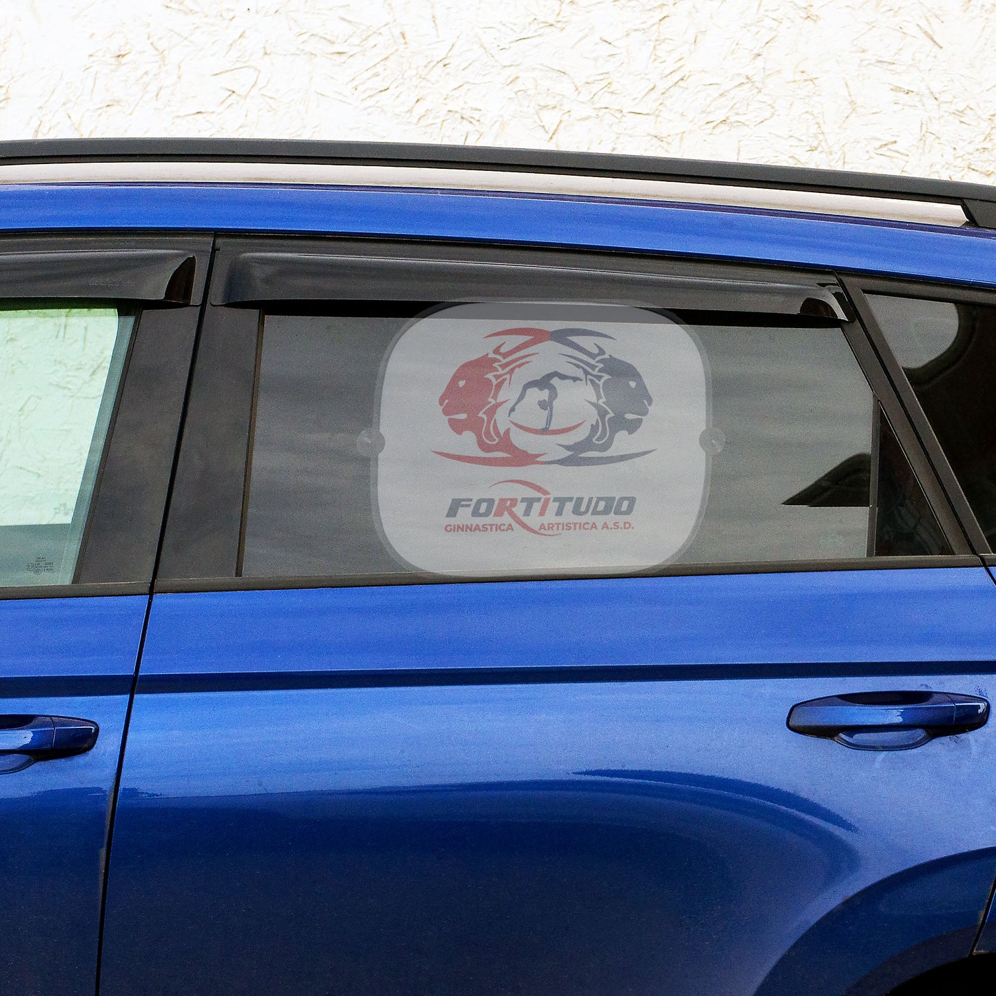 Tendine parasole auto Fortitudo ARTISTICA