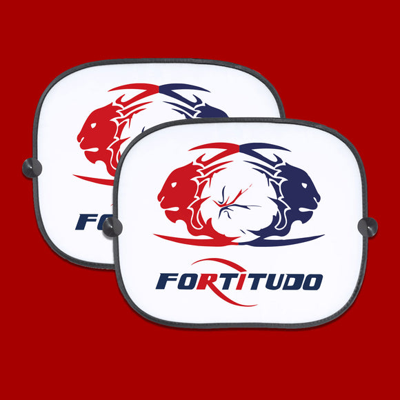 Tendine parasole auto Fortitudo BASKET